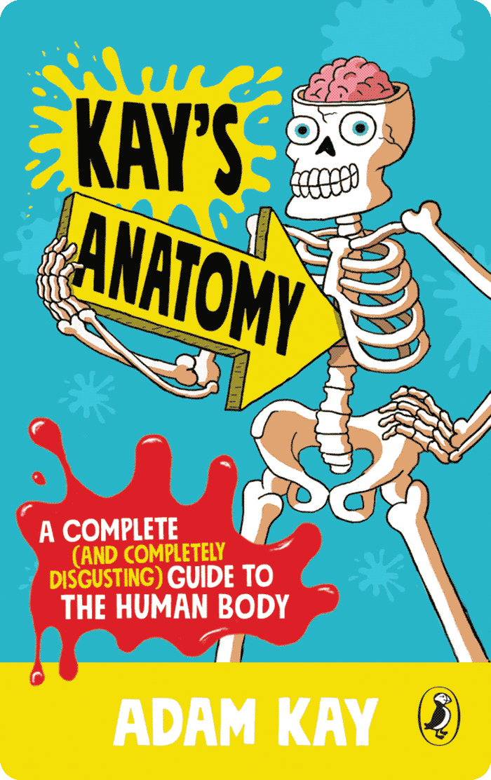 Kay's Anatomy