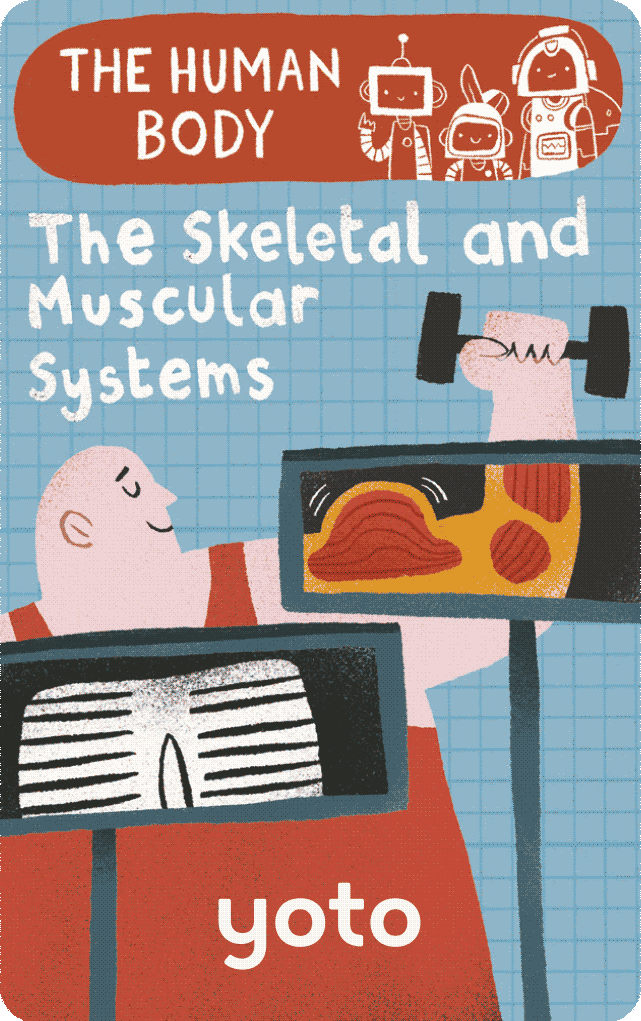 The Human Body: The Skeletal and Muscular Systems (Digital)