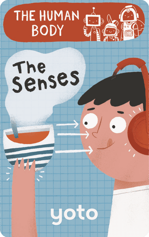 BrainBots: The Human Body